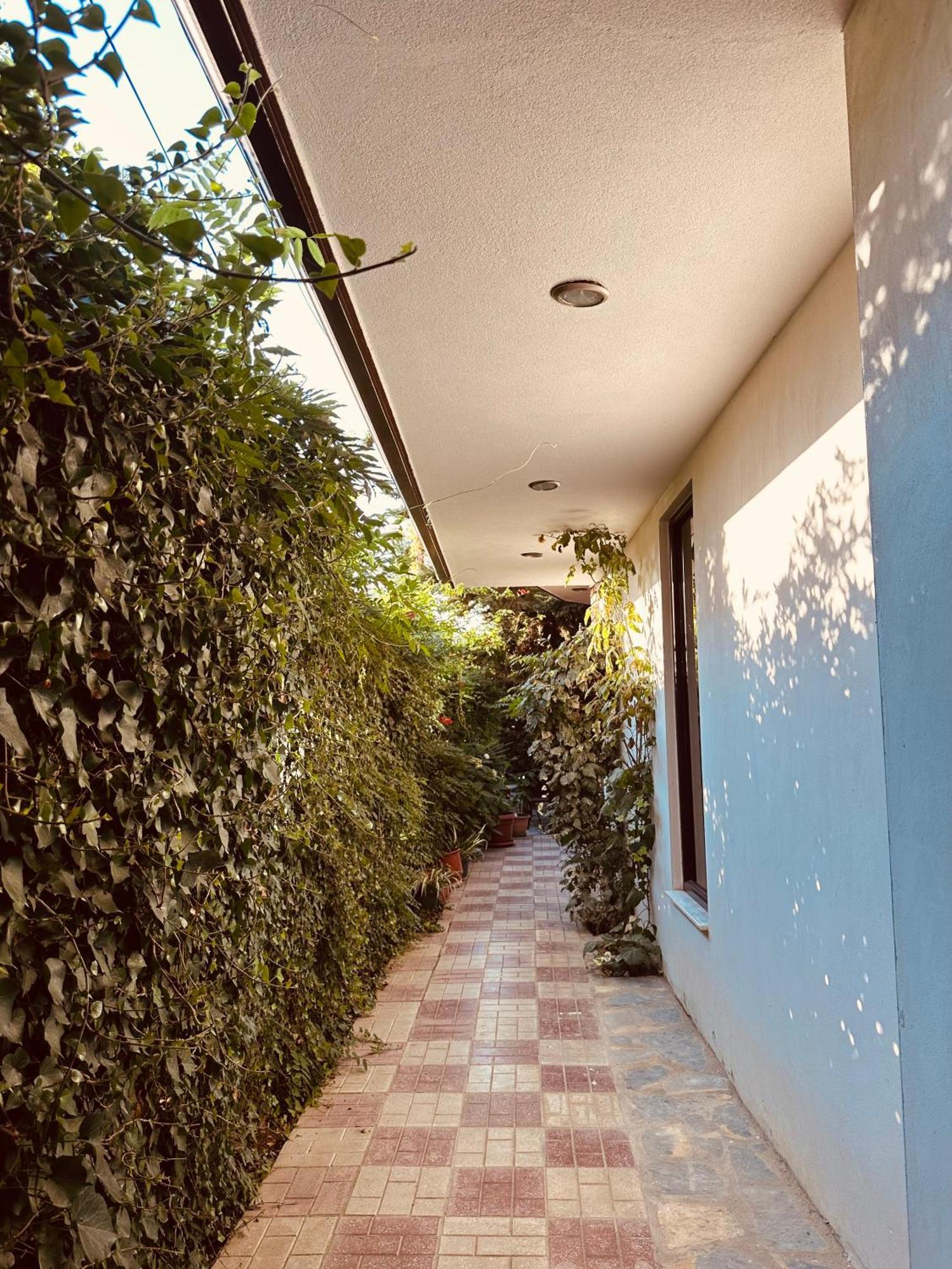 Hotel Saint Marena Pogradec Ngoại thất bức ảnh